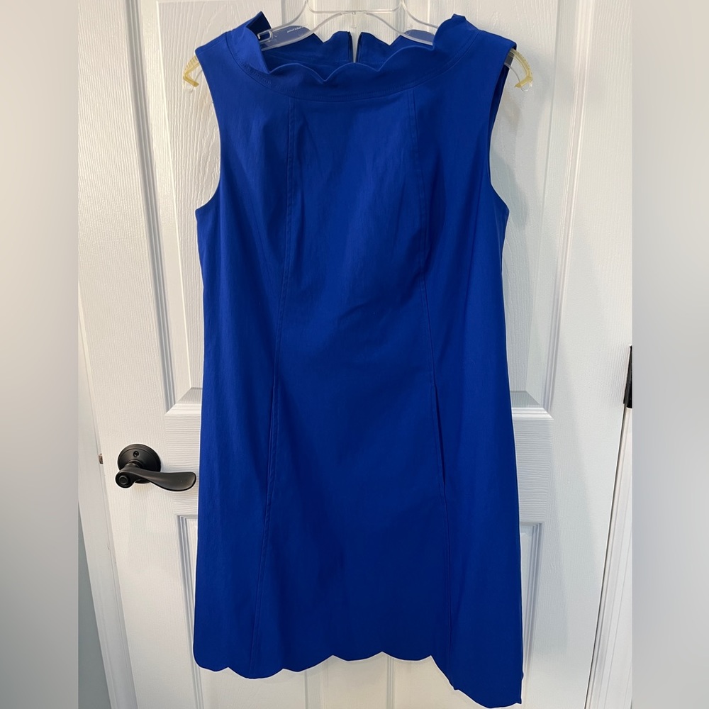 Sara Campbell Signature Stretch Scallop Dress